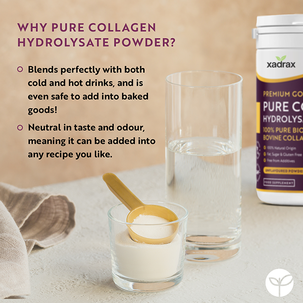 XADRAX® Premium Gold Standard Bovine Collagen Powder